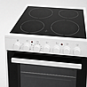 ���� ����� ���� ����� ������ ������� SCHAUB LORENZ ViT666W ���
